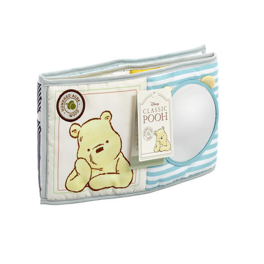 Winnie the Pooh Unfold & Discover Book