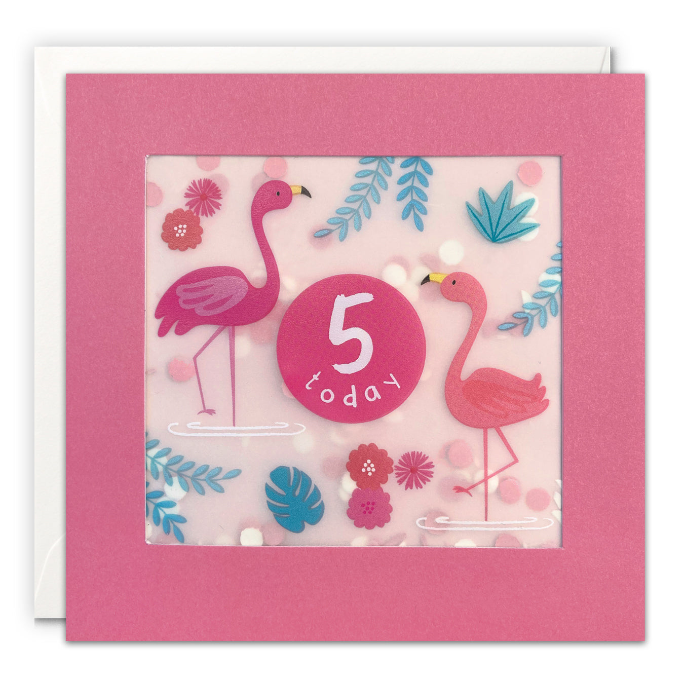 Shakies Age 5 Flamingos Birthday Greetings Card
