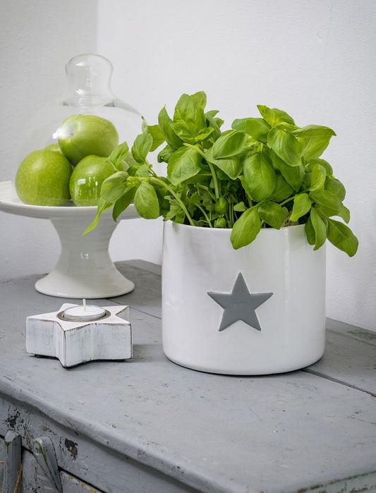 Large Ceramic Hand Crafted Star Pot